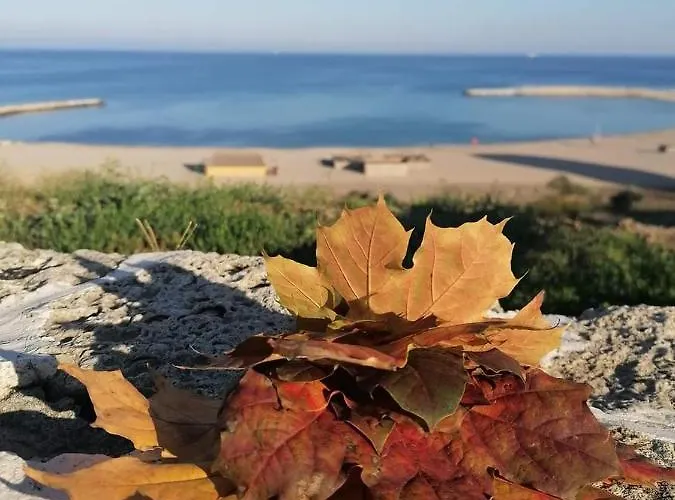 Xenia アパート *